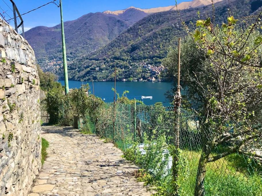 Romantic Home Stone With Amazing View Lake Of Como And Oleandra Laglio Eksteriør bilde