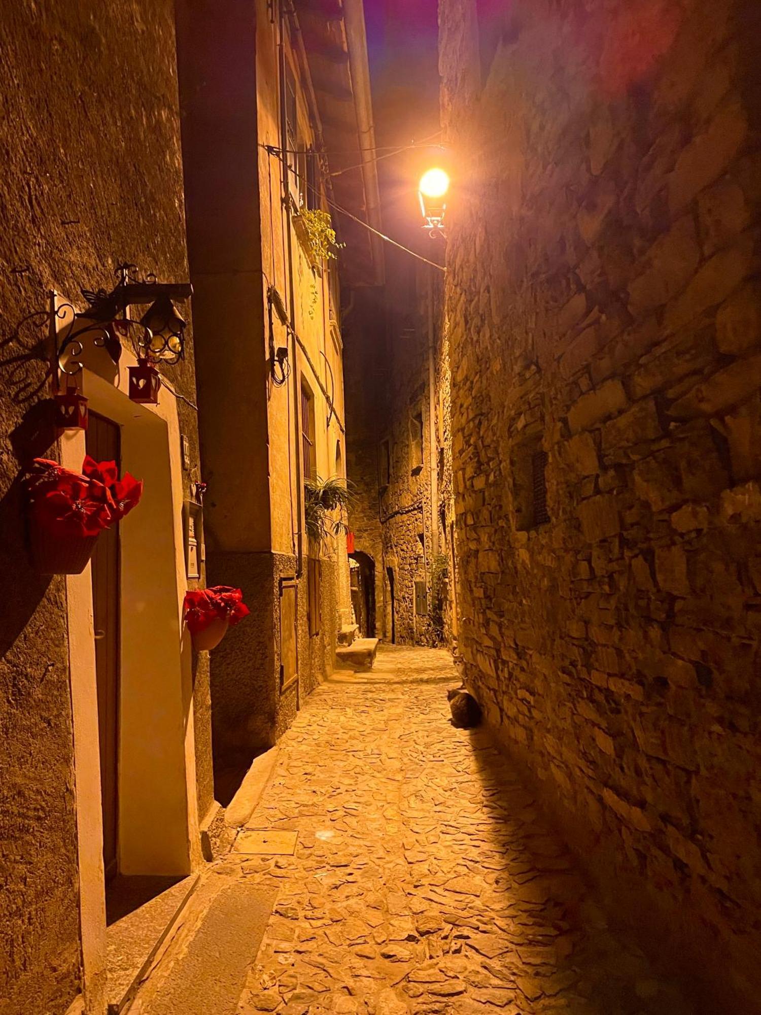 Romantic Home Stone With Amazing View Lake Of Como And Oleandra Laglio Eksteriør bilde